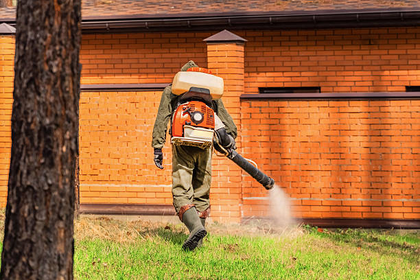 Trusted Rodent Control service in Kitsap Lake, WA - Nex Pest Control